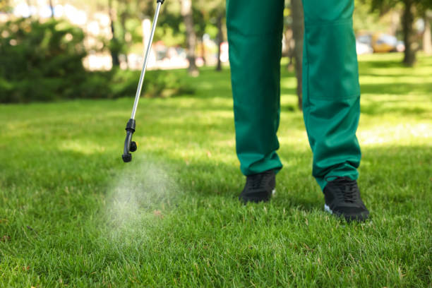 Professional Pest Control in Taylor Creek, OH